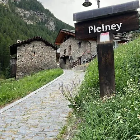 Grandze Du Pleiney *