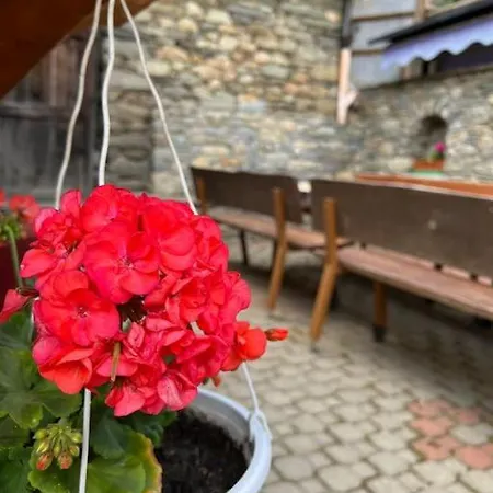 Grandze Du Pleiney *