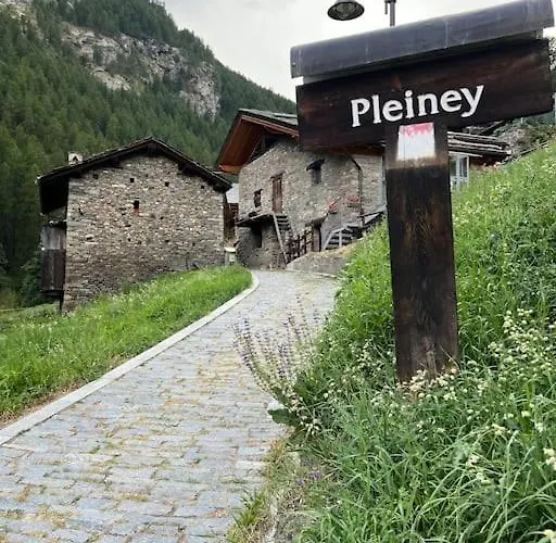 Grandze Du Pleiney *