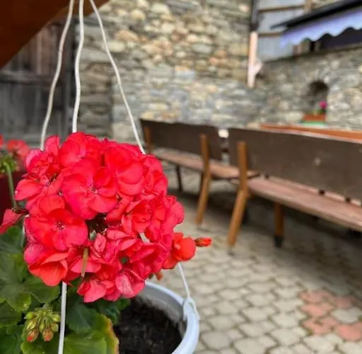 Grandze Du Pleiney *